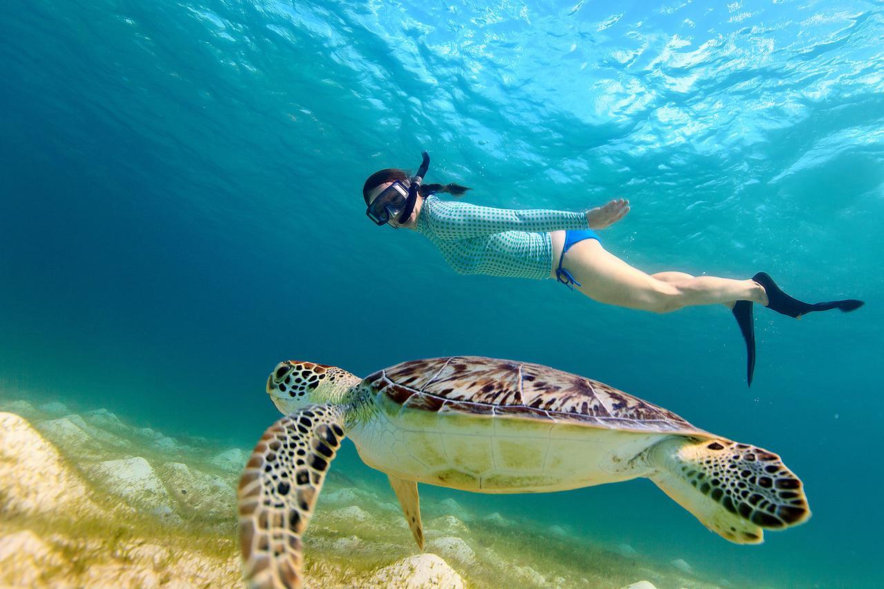 Seadina Coral Home Matara Dış mekan fotoğraf